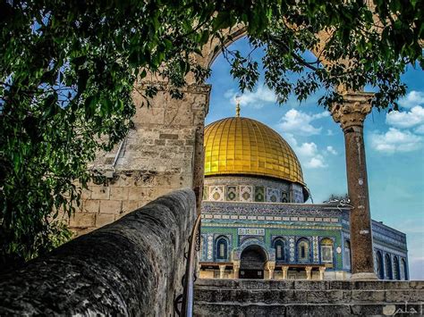 اجمل الصور عن فلسطين والقدس